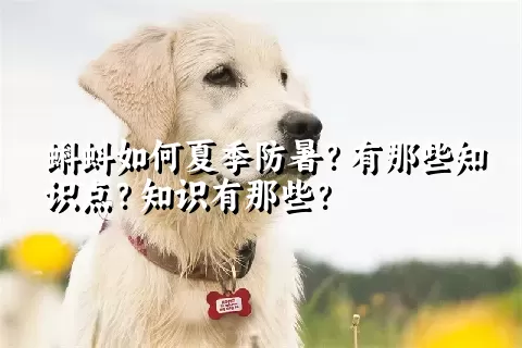 蝌蚪如何夏季防暑？有那些知识点？知识有那些？