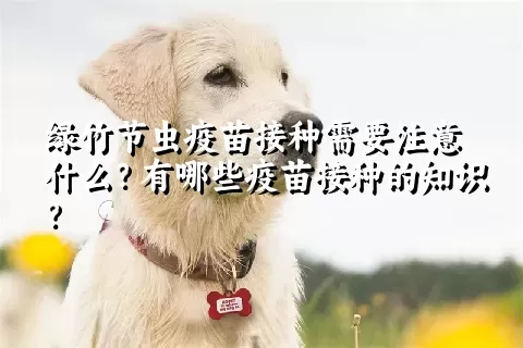 绿竹节虫疫苗接种需要注意什么？有哪些疫苗接种的知识？