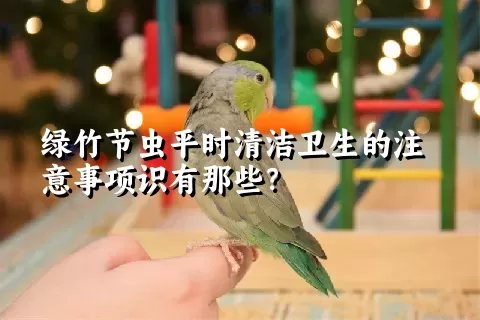 绿竹节虫平时清洁卫生的注意事项识有那些？ 