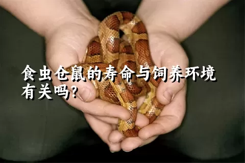 食虫仓鼠的寿命与饲养环境有关吗？