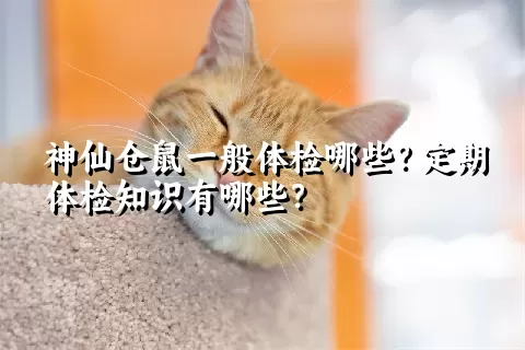 神仙仓鼠一般体检哪些？定期体检知识有哪些？