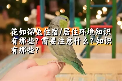 花如锦兔住宿/居住环境知识有那些？需要注意什么？知识有那些？