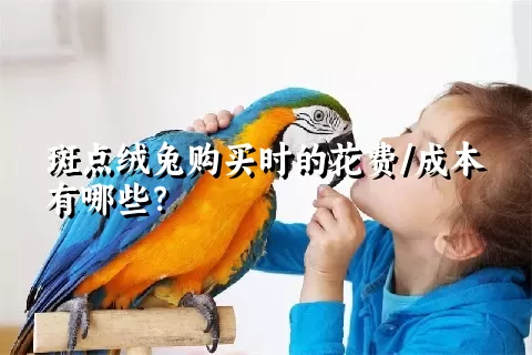 斑点绒兔购买时的花费/成本有哪些？