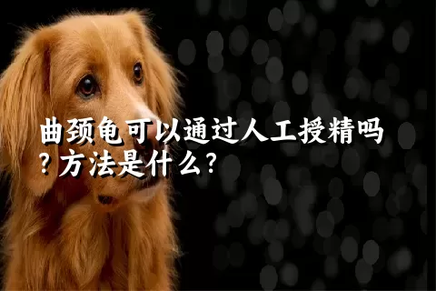 曲颈龟可以通过人工授精吗？方法是什么？