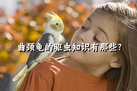 曲颈龟的驱虫知识有那些？