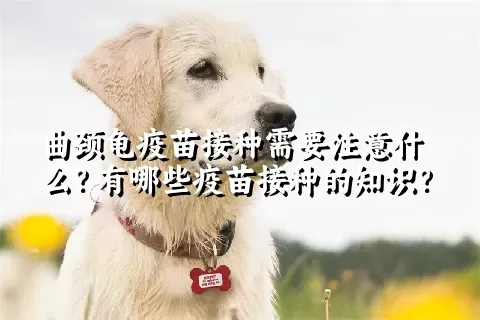 曲颈龟疫苗接种需要注意什么？有哪些疫苗接种的知识？