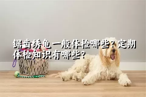 锯齿绣龟一般体检哪些？定期体检知识有哪些？