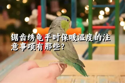 锯齿绣龟平时保暖温度的注意事项有那些？ 