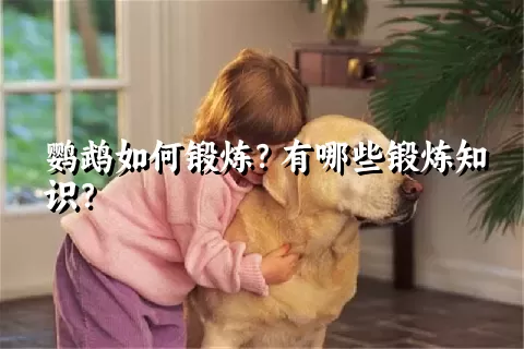 鹦鹉如何锻炼？有哪些锻炼知识？