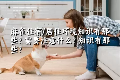 麻雀住宿/居住环境知识有那些？需要注意什么？知识有那些？