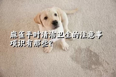 麻雀平时清洁卫生的注意事项识有那些？ 