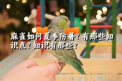 麻雀如何夏季防暑？有那些知识点？知识有那些？