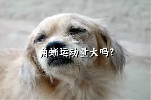 角蜥运动量大吗？