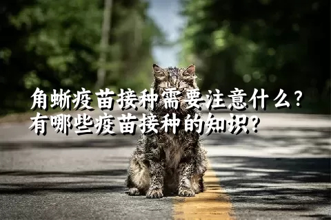 角蜥疫苗接种需要注意什么？有哪些疫苗接种的知识？