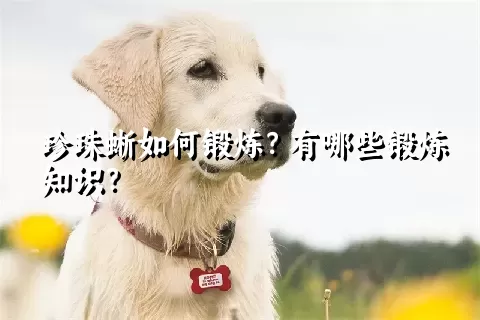 珍珠蜥如何锻炼？有哪些锻炼知识？