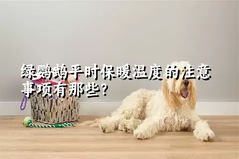 绿鹦鹉平时保暖温度的注意事项有那些？ 