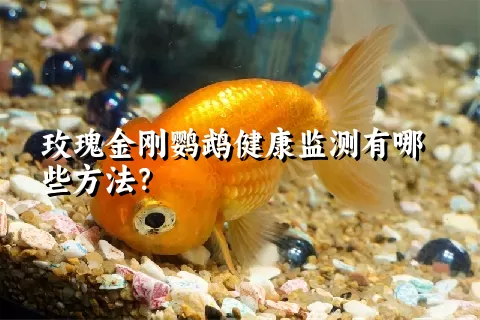 玫瑰金刚鹦鹉健康监测有哪些方法？