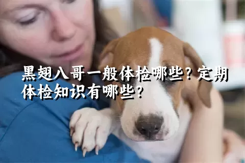 黑翅八哥一般体检哪些？定期体检知识有哪些？