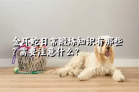 金环蛇日常锻炼知识有那些？需要注意什么？