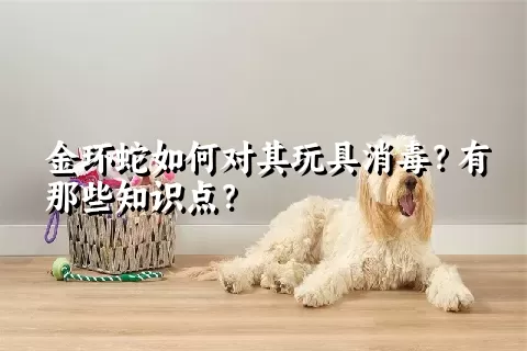 金环蛇如何对其玩具消毒？有那些知识点？