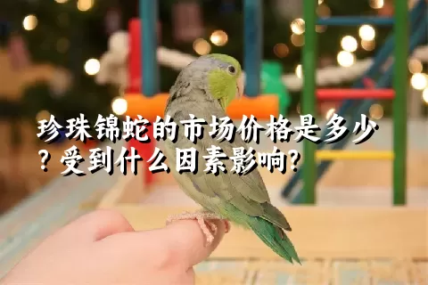 珍珠锦蛇的市场价格是多少？受到什么因素影响？