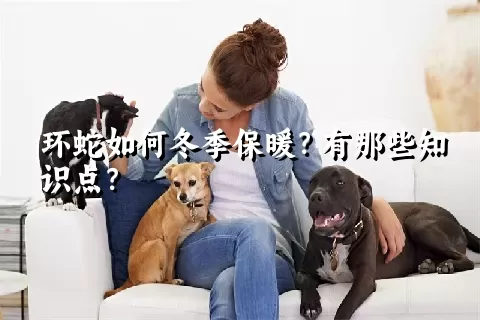 环蛇如何冬季保暖？有那些知识点？