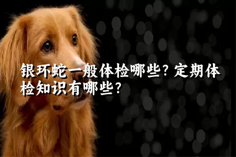 银环蛇一般体检哪些？定期体检知识有哪些？