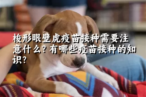 梭形眼壁虎疫苗接种需要注意什么？有哪些疫苗接种的知识？