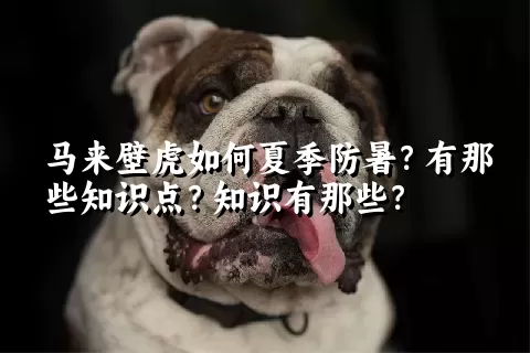 马来壁虎如何夏季防暑？有那些知识点？知识有那些？