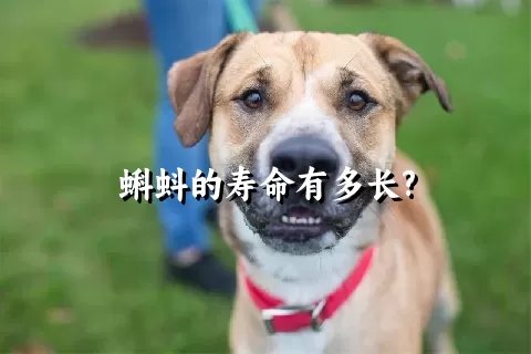 蝌蚪的寿命有多长?