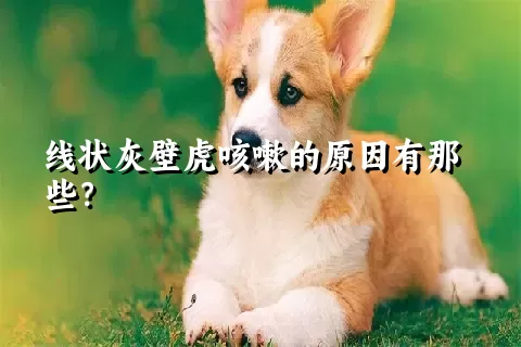 线状灰壁虎咳嗽的原因有那些？ 