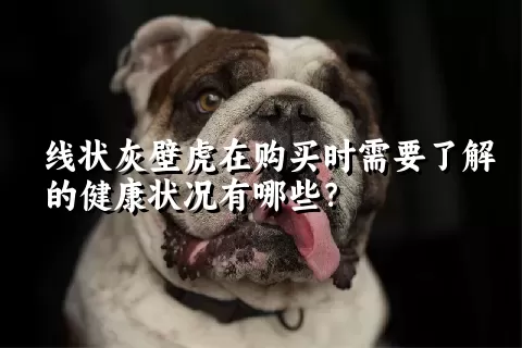 线状灰壁虎在购买时需要了解的健康状况有哪些？