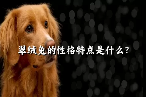 翠绒兔的性格特点是什么？