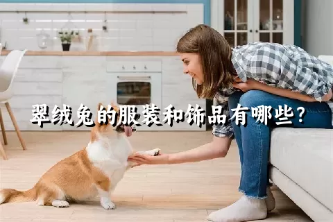 翠绒兔的服装和饰品有哪些？