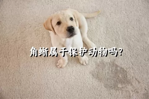 角蜥属于保护动物吗？