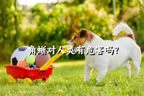 角蜥对人类有危害吗？