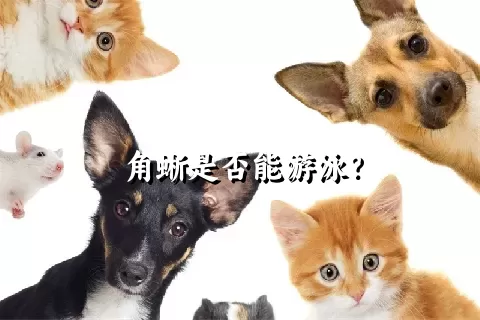 角蜥是否能游泳？