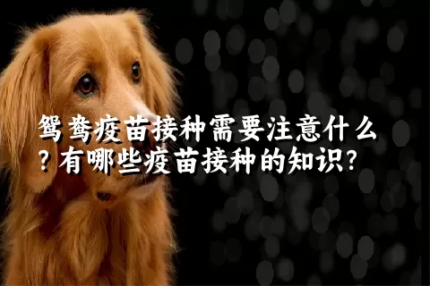 鸳鸯疫苗接种需要注意什么？有哪些疫苗接种的知识？