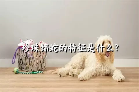 珍珠锦蛇的特征是什么？