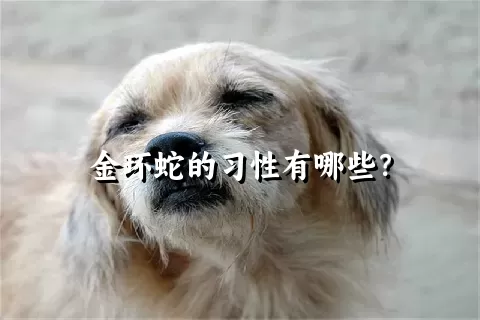 金环蛇的习性有哪些？