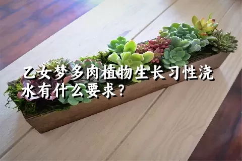 乙女梦多肉植物生长习性浇水有什么要求？	