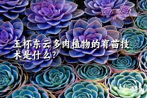 玉杯东云多肉植物的育苗技术是什么？