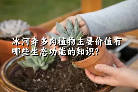 冰河寿多肉植物主要价值有哪些生态功能的知识？