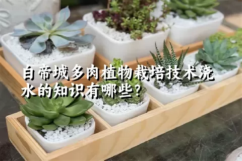 白帝城多肉植物栽培技术浇水的知识有哪些？