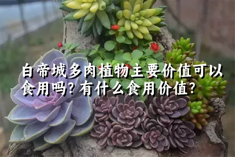 白帝城多肉植物主要价值可以食用吗？有什么食用价值？