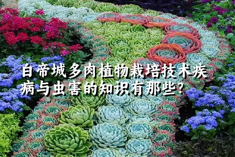 白帝城多肉植物栽培技术疾病与虫害的知识有那些？ 