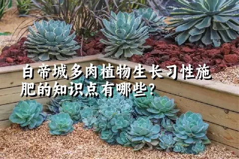 白帝城多肉植物生长习性施肥的知识点有哪些？	