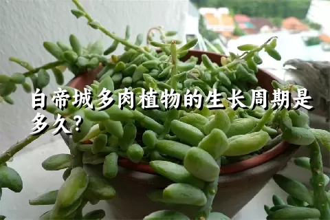 白帝城多肉植物的生长周期是多久？