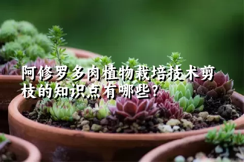 阿修罗多肉植物栽培技术剪枝的知识点有哪些？