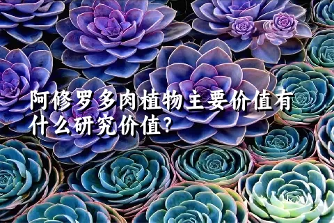 阿修罗多肉植物主要价值有什么研究价值？